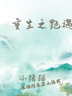 重生之艳遇传说