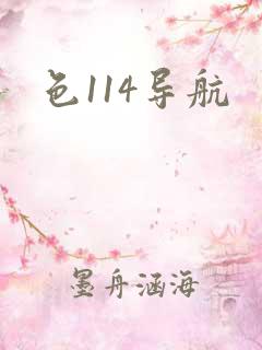 色114导航