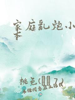 家庭乱炮小说全本