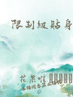 限制级贴身高手