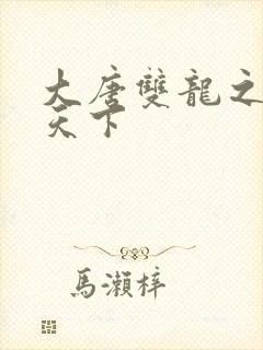 大唐双龙之无敌天下