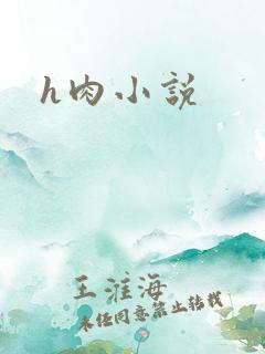 h肉小说