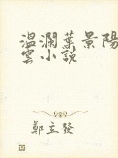 温澜叶景阳温云云小说