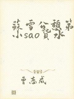 苏雪公憩第一章小sao货水