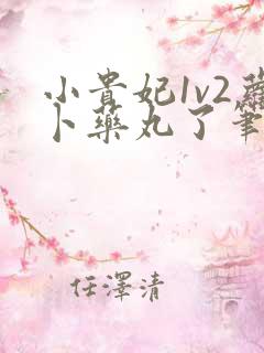小贵妃1v2萝卜药丸了笔趣阁