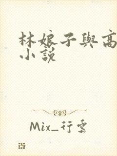 林娘子与高衙内小说