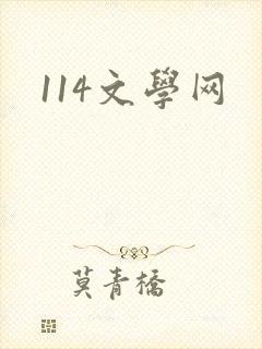 114文学网