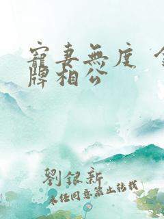 宠妻无度  金牌相公