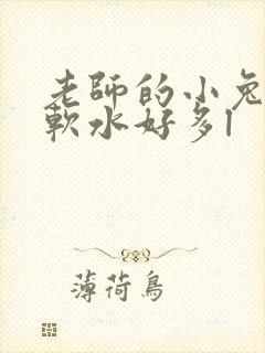 老师的小兔子好软水好多l