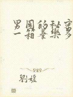 男团的秘密BY一箱养乐多小说