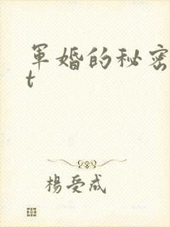 军婚的秘密txt