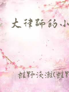 大律师的小老婆