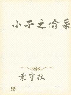 小子之偷采双圣