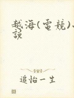 越海(电竞)小说