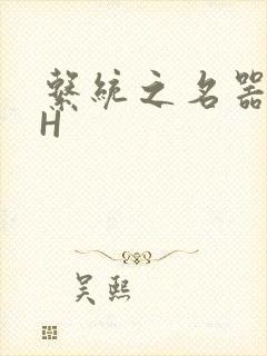 系统之名器勾男H