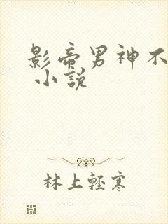 影帝男神不节制 小说