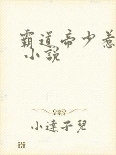 霸道帝少惹不得 小说