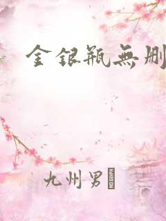 金银瓶无删除