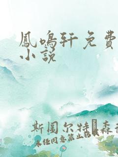 凤鸣轩免费言情小说