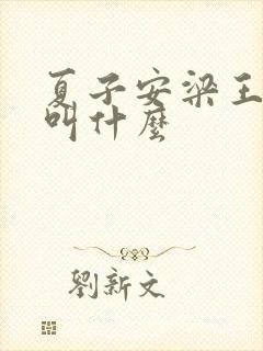 夏子安梁王书名叫什么