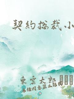 契约总裁小萌宝