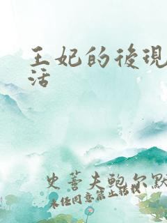 王妃的后现代生活