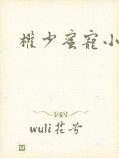 权少蜜宠小娇妻