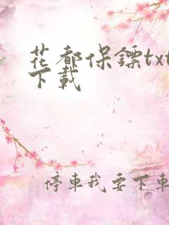 花都保镖txt下载