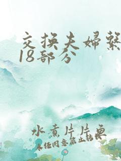 交换夫妇系列第18部分