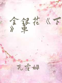 金银花《下厨房》车