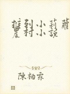 推到小莉萝稚嫩农村小说