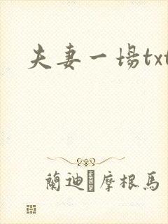 夫妻一场txt
