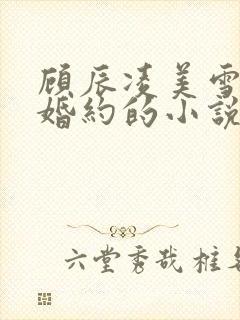 顾辰凌美雪五份婚约的小说名字叫什么