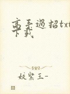 高手过招txt下载