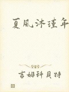 夏风沐瑾年