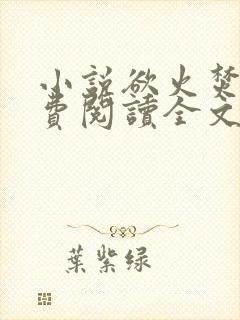 小说欲火焚烧免费阅读全文