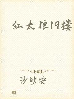 红太狼19楼