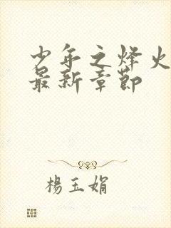 少年之烽火岁月最新章节