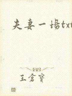 夫妻一场txt