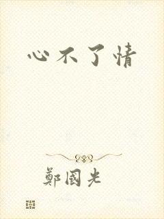 心不了情