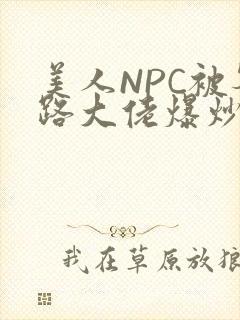 美人NPC被各路大佬爆炒小说