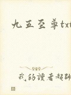 九五至尊txt