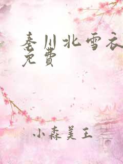 秦川北雪衣小说免费