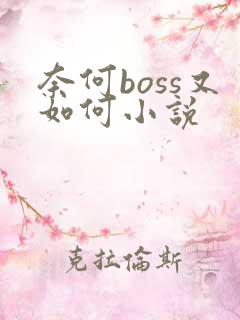奈何boss又如何小说