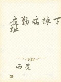 夜勤病栋下载地址