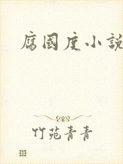 腐国度小说