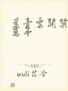 叶青云关禁闭一万年