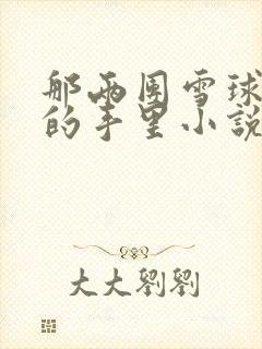 那两团雪球在他的手里小说