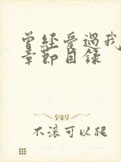 曾经爱过我刘念章节目录