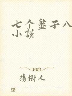 七个盘子八个碗小说